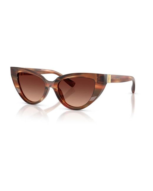 Dolce & Gabbana Brown Sunglasses