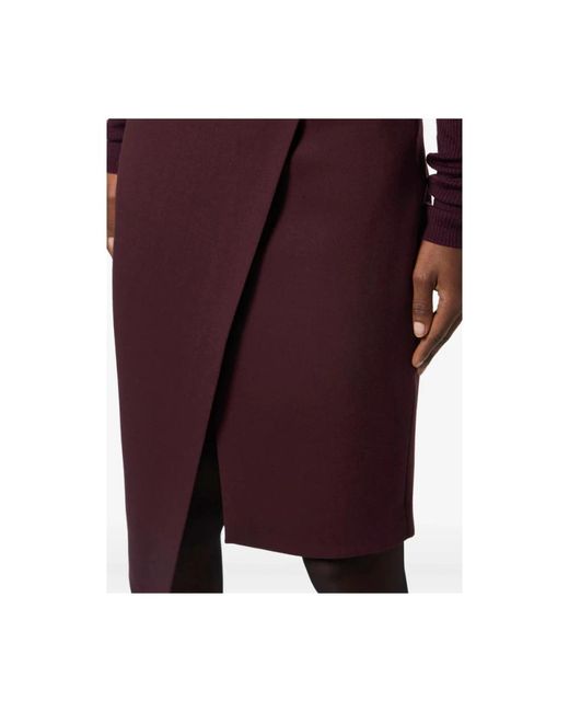 Elisabetta Franchi Midi Skirts in het Purple