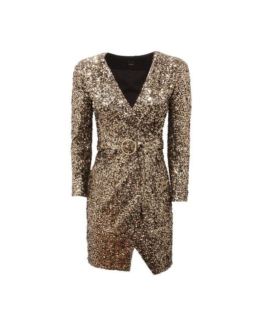 Pinko Brown Party Dresses