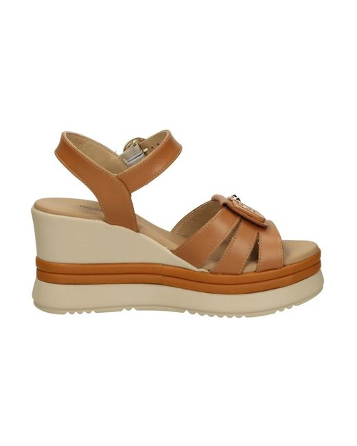 Shoes > heels > wedges Nero Giardini en coloris Brown