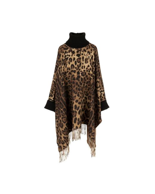 Dolce & Gabbana Brown Capes