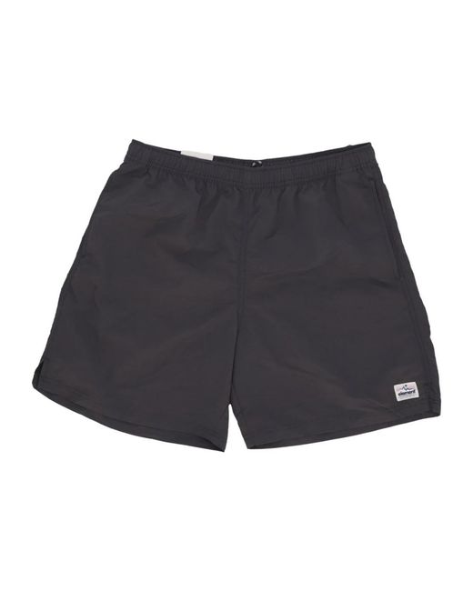 Element Blue Casual Shorts for men