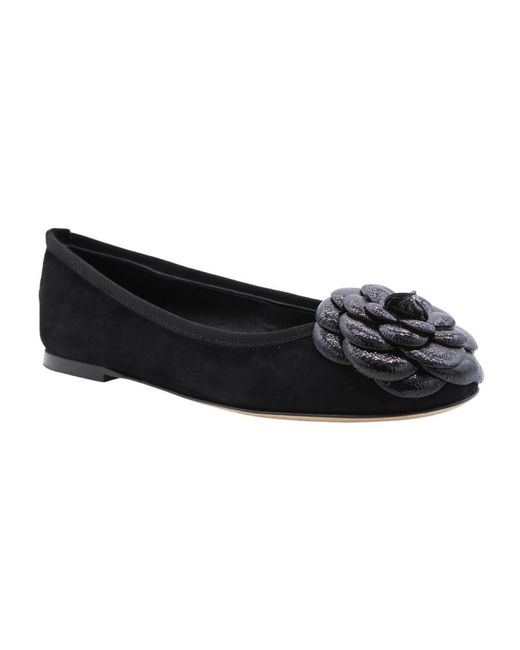 Ballerinas di ODARE in Black