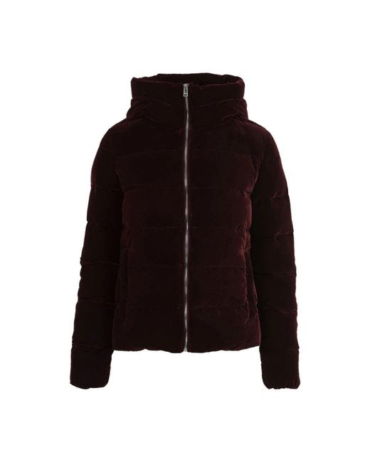 Winter Jackets Museum en coloris Black