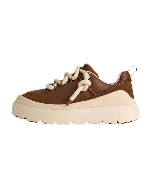 Sneakers Ugg pour homme en coloris Brown