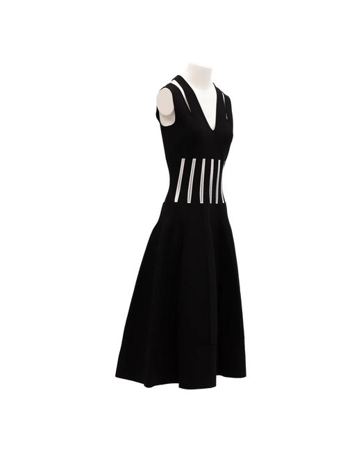 McQueen Jurken in het Black