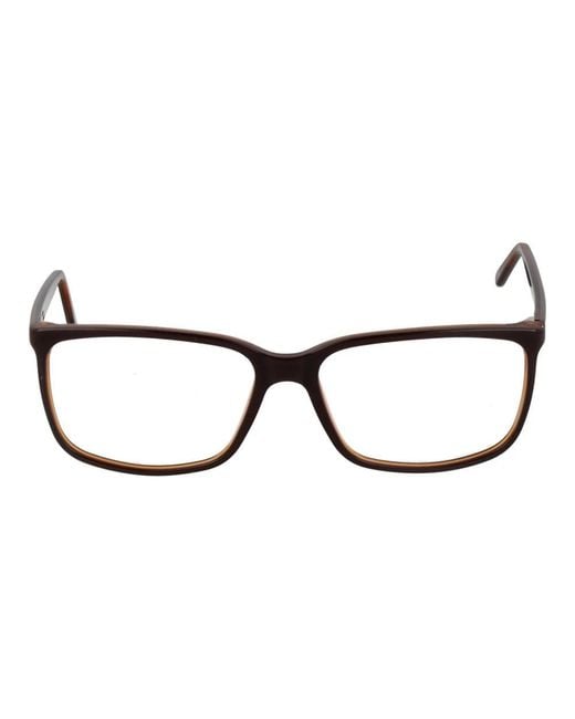 Andy Wolf Brown Glasses