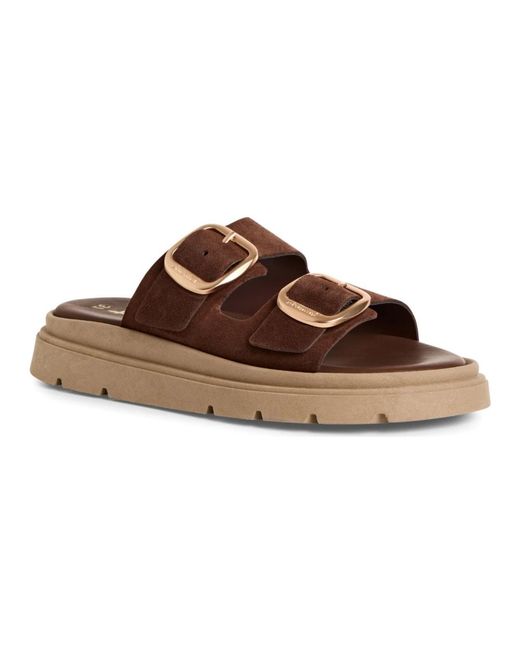 Tamaris Brown Sliders