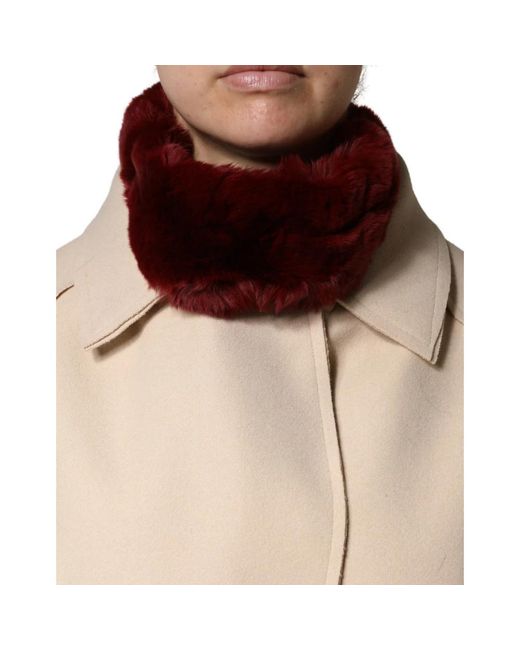 Dolce & Gabbana Red Winter Scarves for men