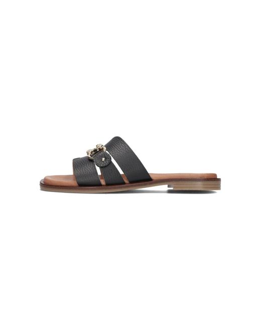 Notre-v Brown Slider