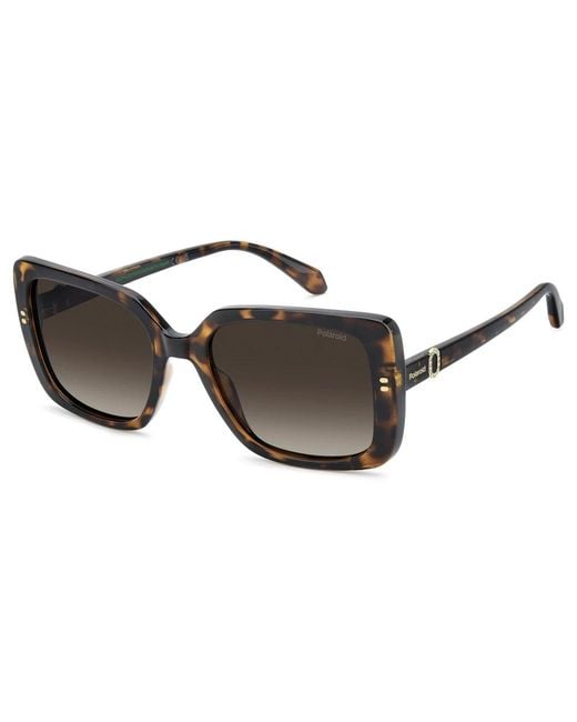 Polaroid Brown Sunglasses