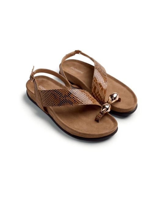 Gioseppo Brown Flat Sandals