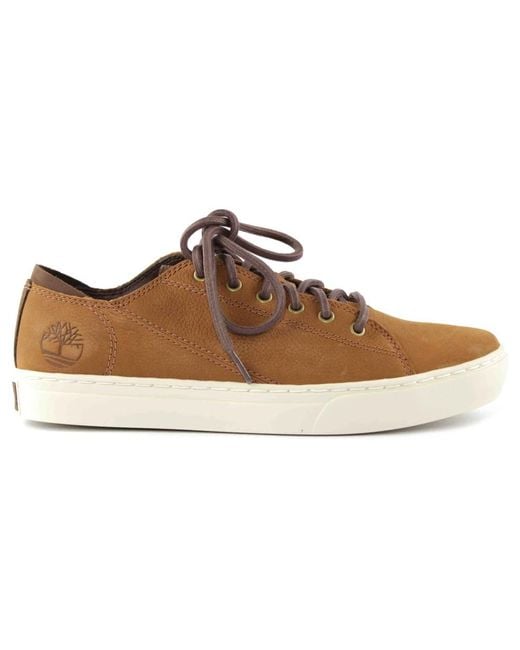 Baskets Timberland pour homme en coloris Brown