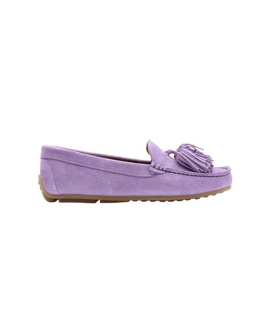 CTWLK Purple Loafers