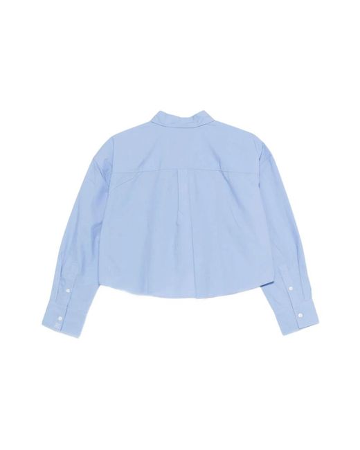 Calvin Klein Blue Shirts