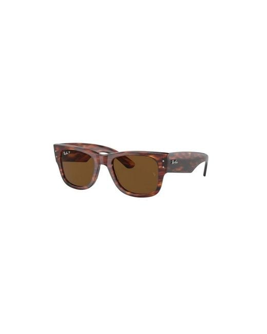 Ray-Ban Brown Sunglasses