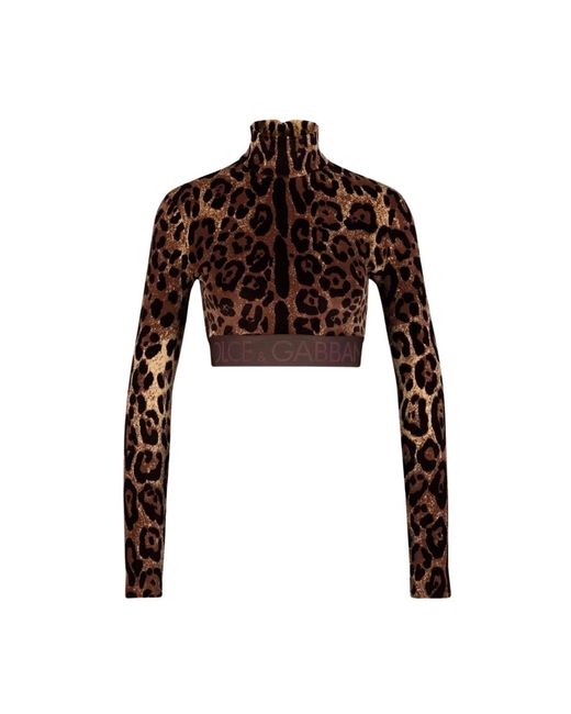 Dolce & Gabbana Brown Leopard-print turtle-neck top