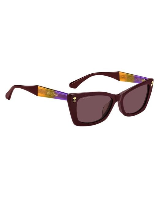 Etro Brown Sunglasses