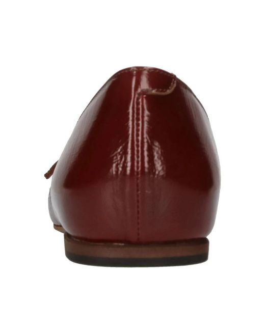 Pantanetti Brown Ballerina Shoes