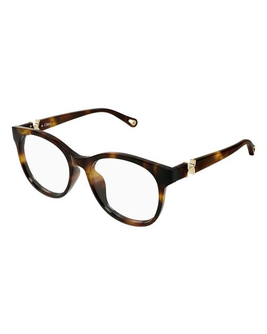Chloé Brown Glasses
