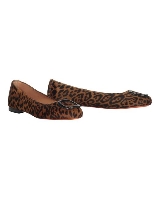 Santoni Brown Ballerinas