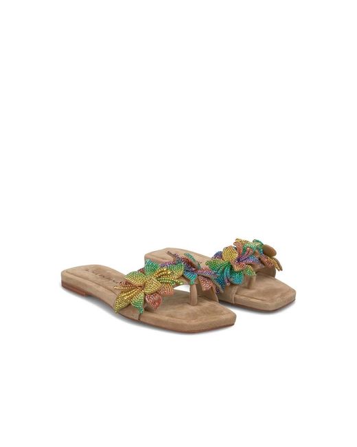 Alma En Pena. Brown Sliders