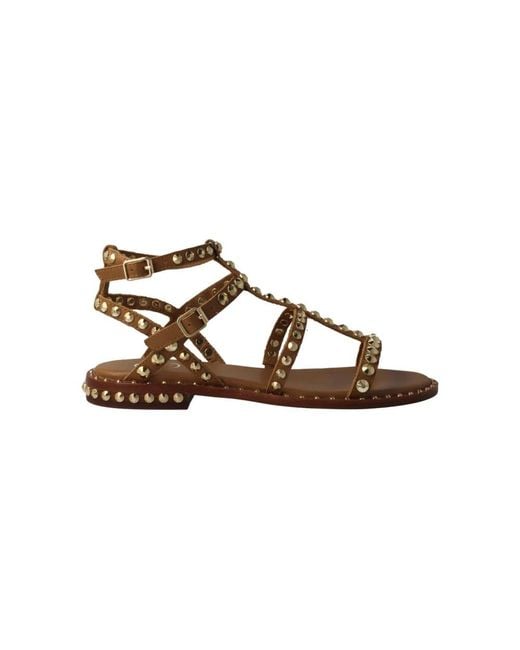 Flat Sandals di Ash in Brown
