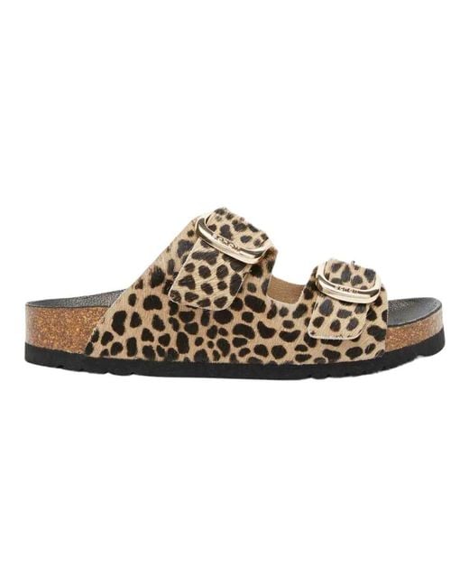 Scholl Brown Sliders