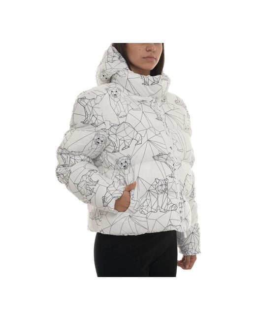 EA7 Gray Winter Jackets