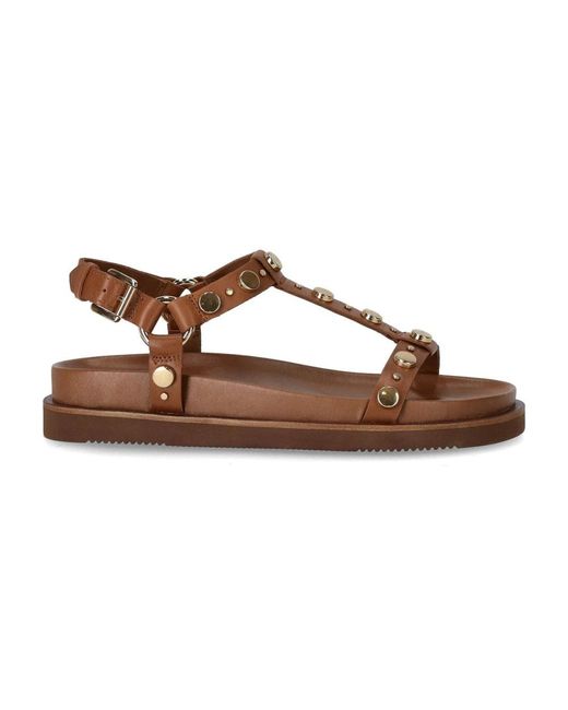 Ash Brown Flat Sandals