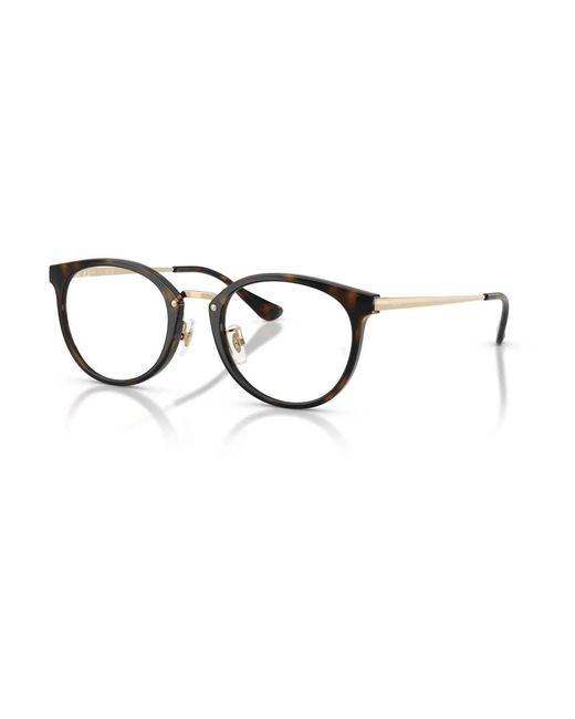 Ray-Ban Brown Glasses