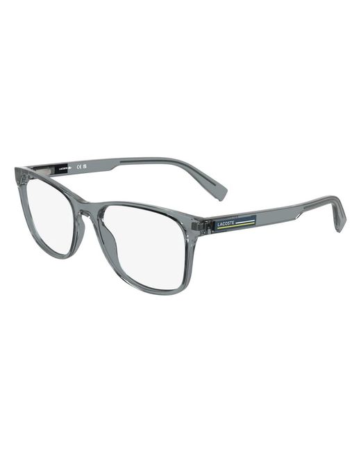 Lacoste Brown Glasses