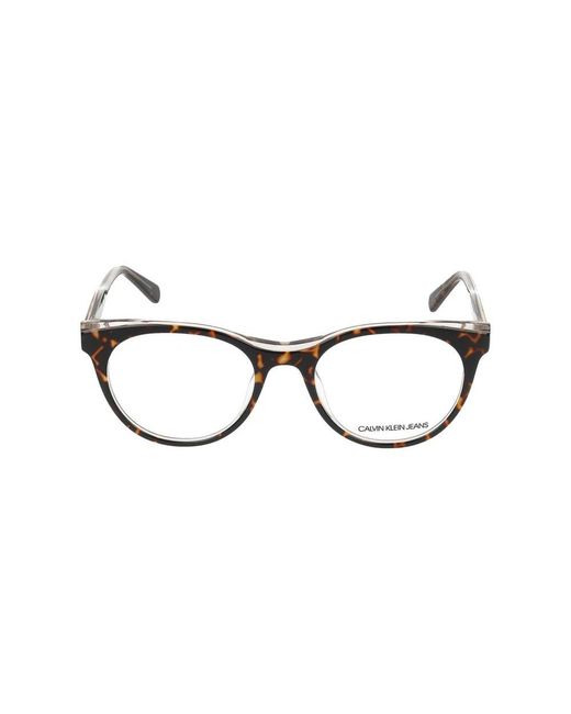 Calvin Klein Brown Glasses