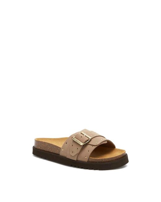Scholl Joyce Slider in het Brown