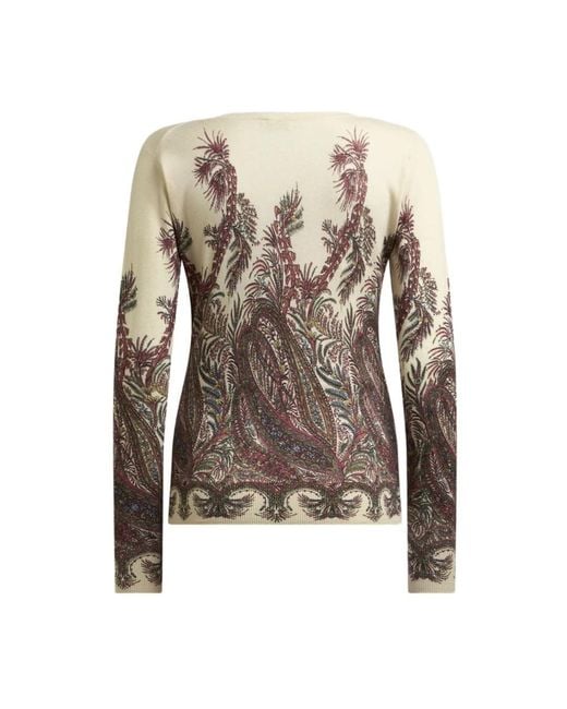 Etro Brown V-Neck Knitwear