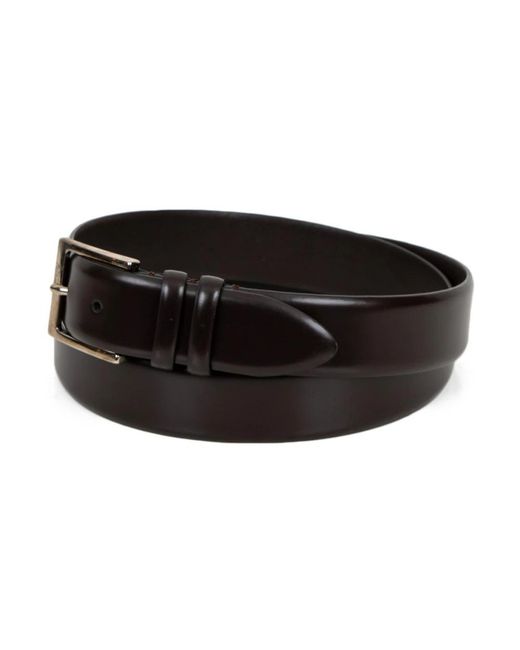 Gavazzeni Black Belts