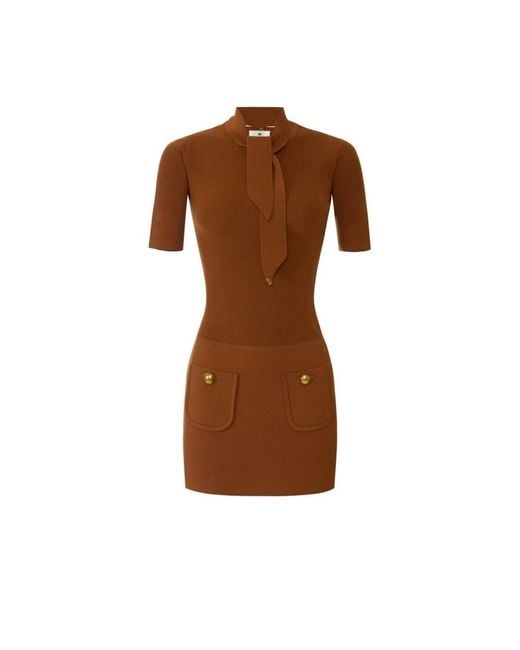 Elisabetta Franchi Brown Knitted Dresses