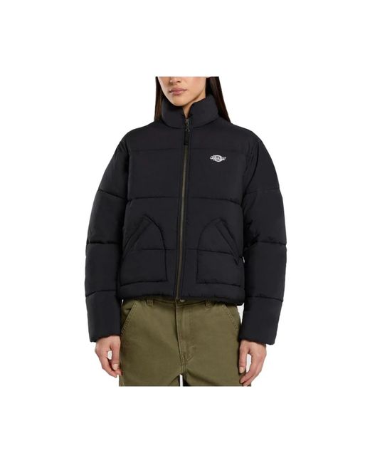 Winter Jackets Dickies de color Blue