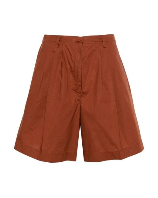 Forte Forte Brown Schokoladen bermuda popeline shorts,schwarze bermuda popeline shorts,reine popeline bermuda shorts