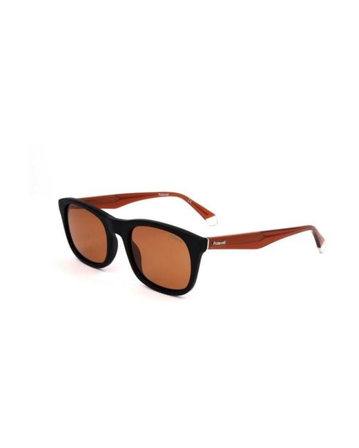 Polaroid Brown Sunglasses