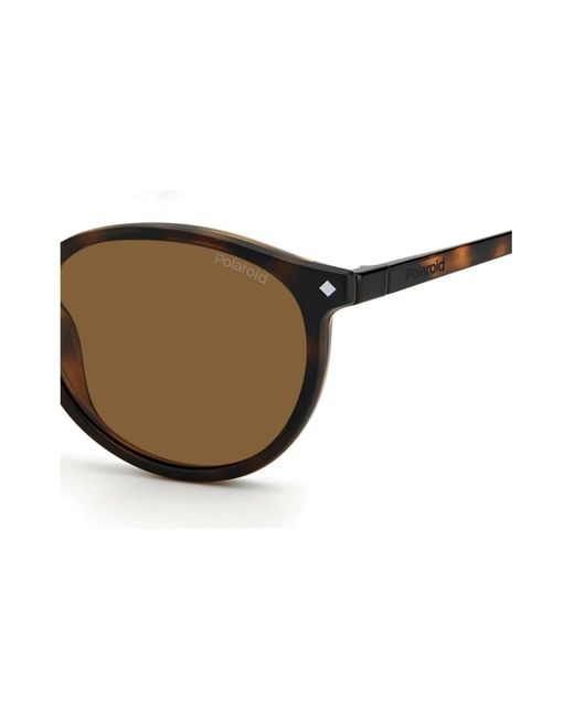 Polaroid Brown Sunglasses
