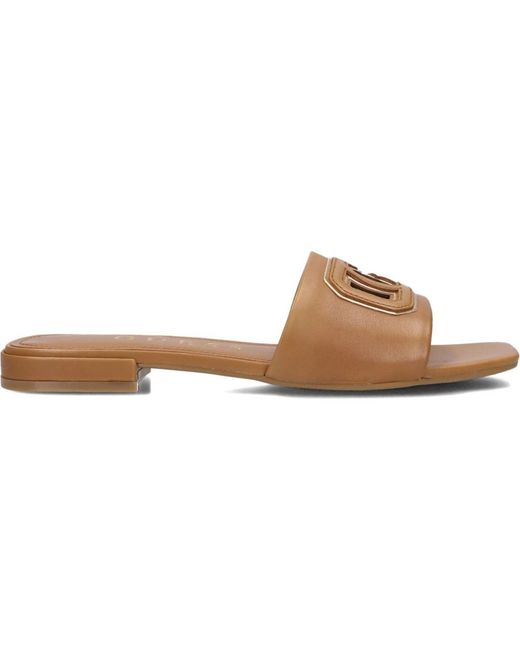 Guess Brown Sliders