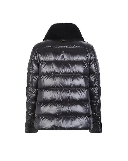 Winter Jackets Herno de color Black
