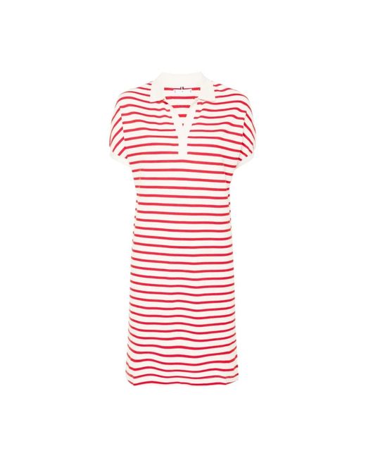 Tommy Hilfiger Red Midi Dresses