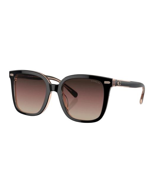 COACH Brown Sunglasses
