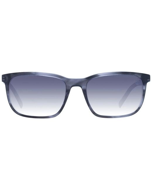 Sunglasses di Timberland in Blue da Uomo