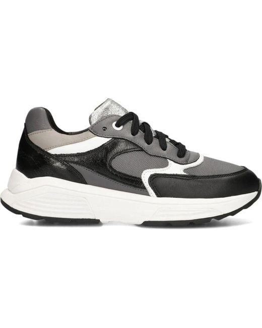 Xsensible Gray Low-Top Sneakers