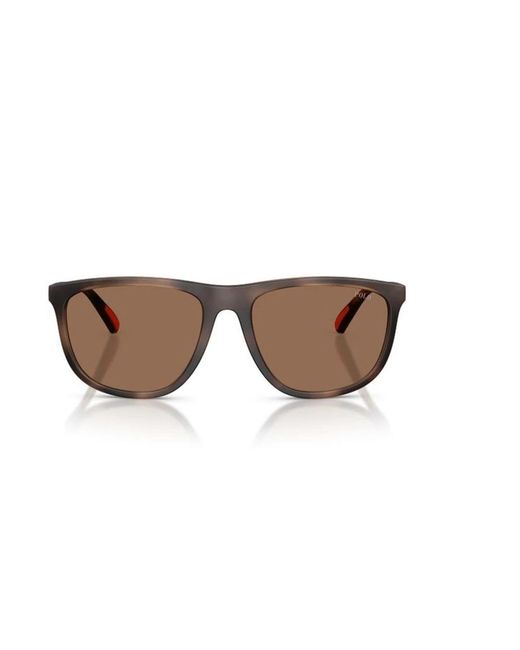 Polo Ralph Lauren Brown Sunglasses for men
