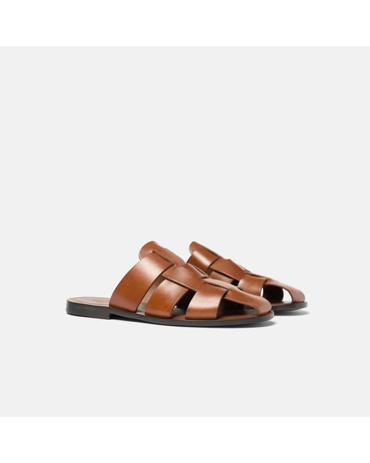 Scarosso Brown Perseo for men