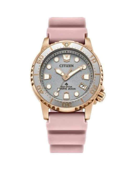 Citizen Pink Promaster Dive